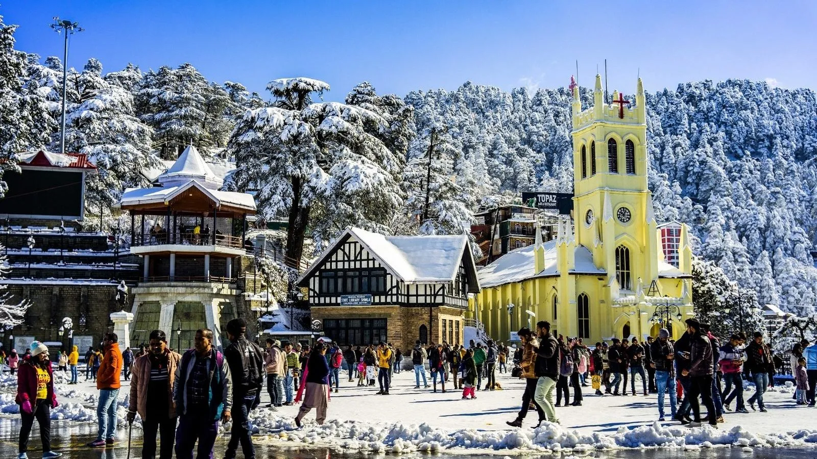 Shimla Kufri Volvo Tour Package From Delhi